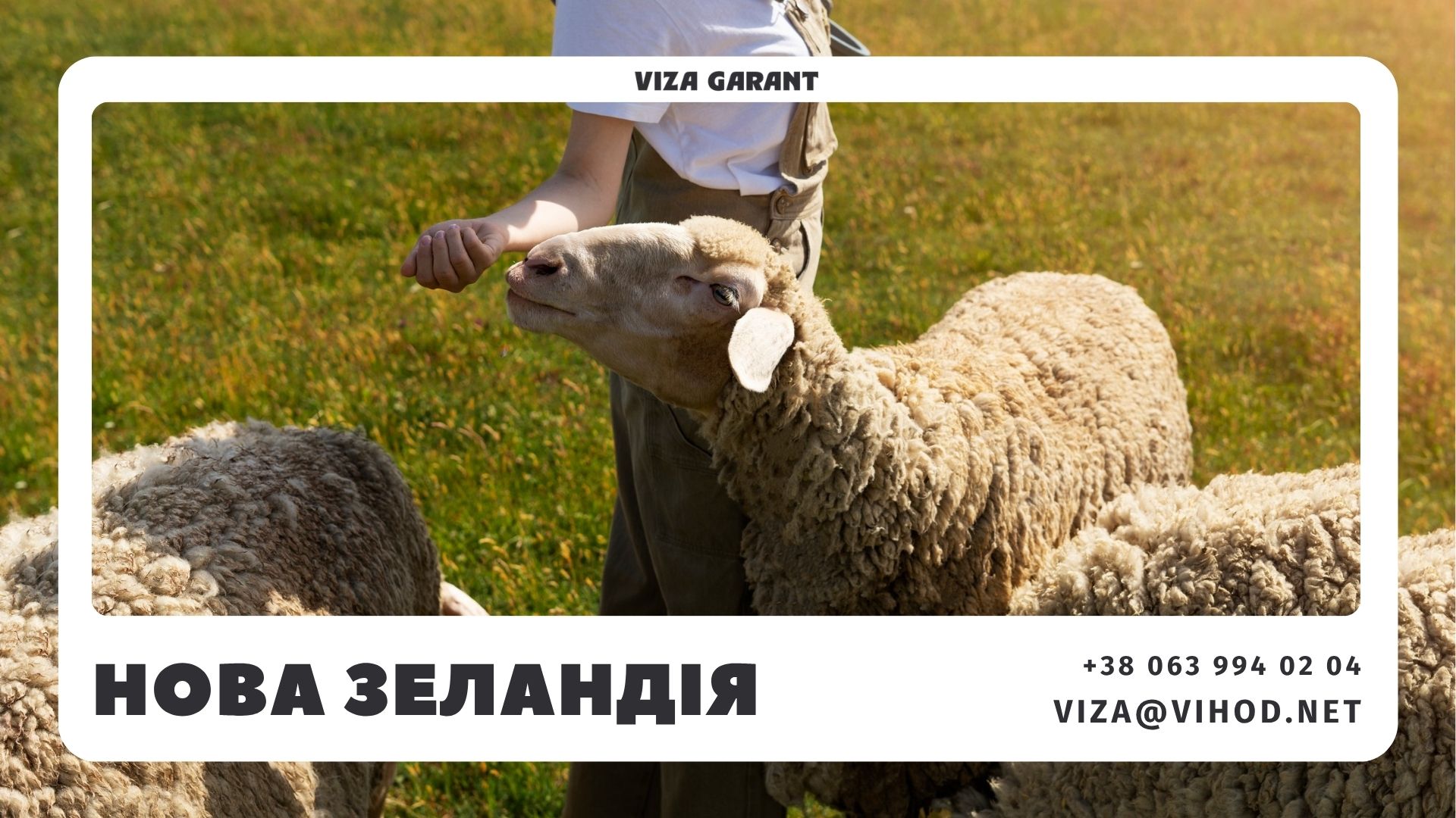 Viza Garant — бізнес у Новій Зеландії для українців, консультації щодо поїздки - Viza-Garant (Віза-Гарант)